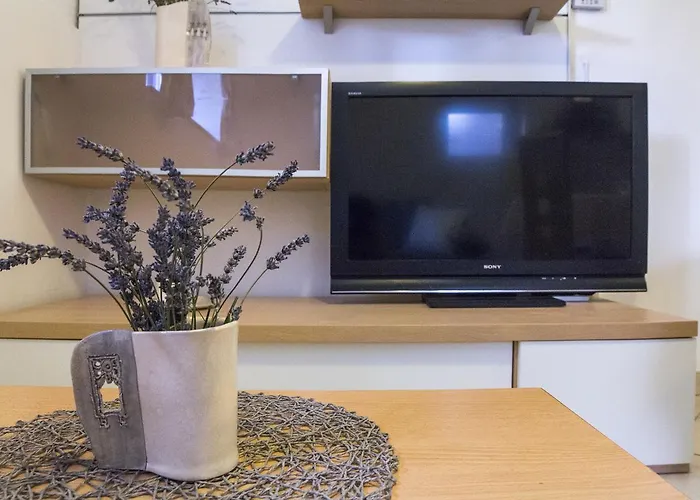 Bukovsek Apartament *